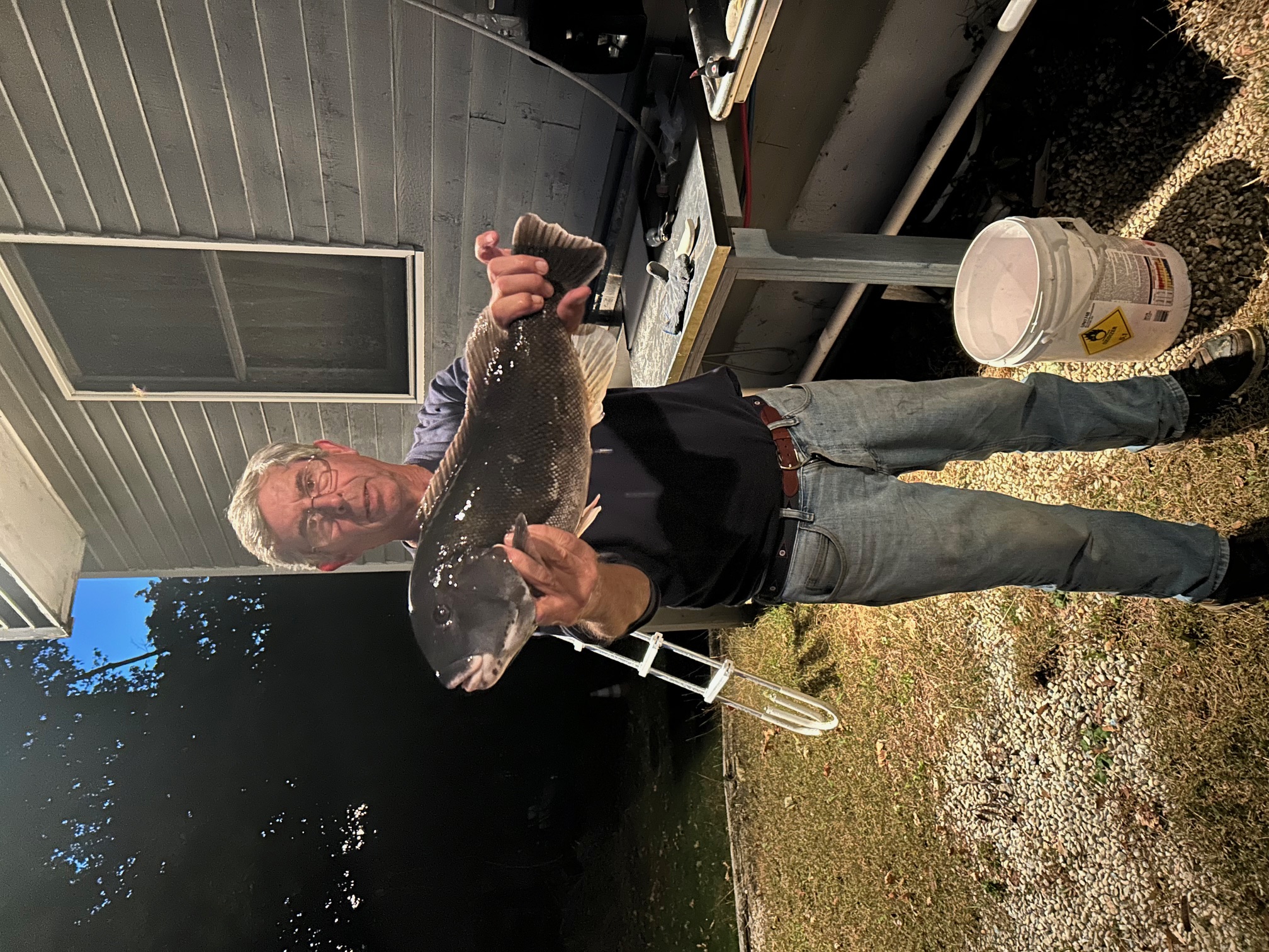Member catch