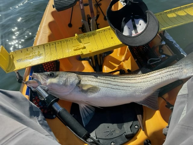 Showing off the catch